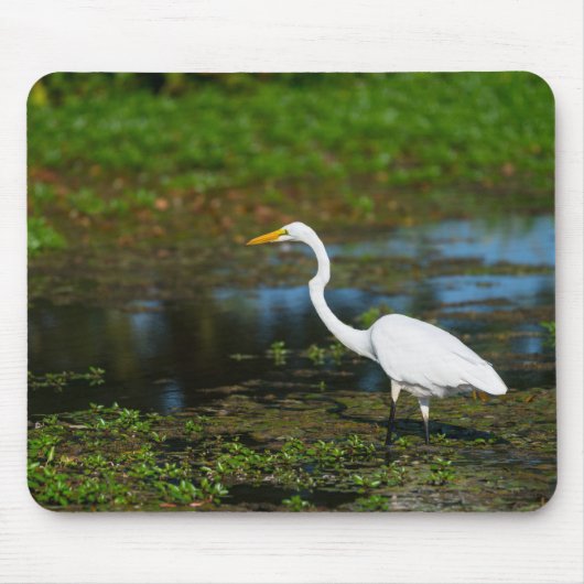 Hunting Egret Muismat (Voorkant)