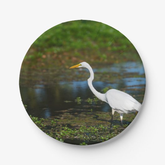 Hunting Egret Papieren Bordje (Voorkant)
