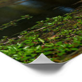 Hunting Egret Poster (Hoek)