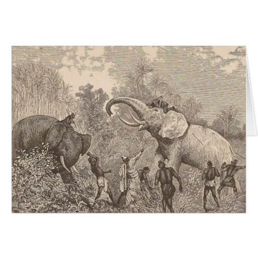 Hunting Elephants (Voorkant Horizontaal)