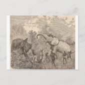 Hunting Elephants Briefkaart (Voorkant)