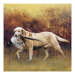 Hunting faasant, Autumn Faux Canvas Print Acrylly Foto Afdruk