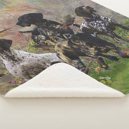 Hunting faasant met SAP Sherpa Deken (3/4)