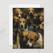 Hunting foxhounds, Galway Blazers, Ierland Briefkaart (Voorkant / Achterkant)