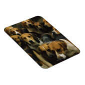 Hunting foxhounds, Galway Blazers, Ierland Magneet (Rechterzijde)