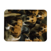 Hunting foxhounds, Galway Blazers, Ierland Magneet (Horizontaal)