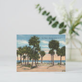 Hunting Island, South Carolina Briefkaart (Staand voorkant)