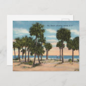 Hunting Island, South Carolina Briefkaart (Voorkant / Achterkant)