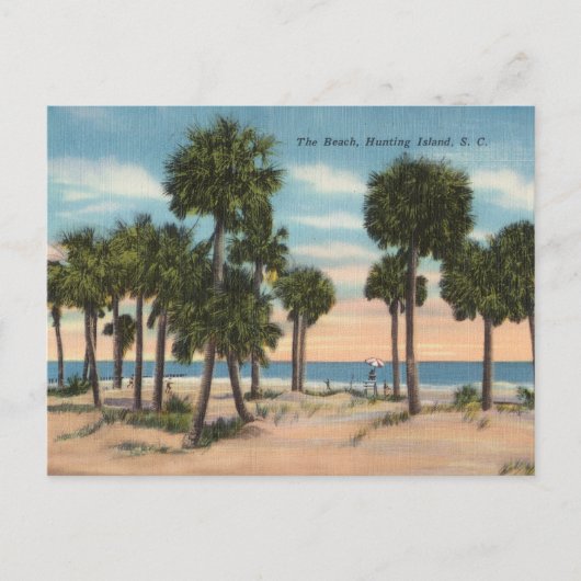 Hunting Island, South Carolina Briefkaart (Voorkant)