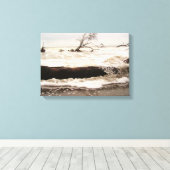 Hunting Island State Park Canvas Afdruk (Insitu (Houten vloer))