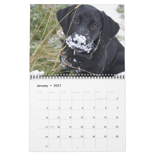 Hunting Labs Kalender (Jan 2027)