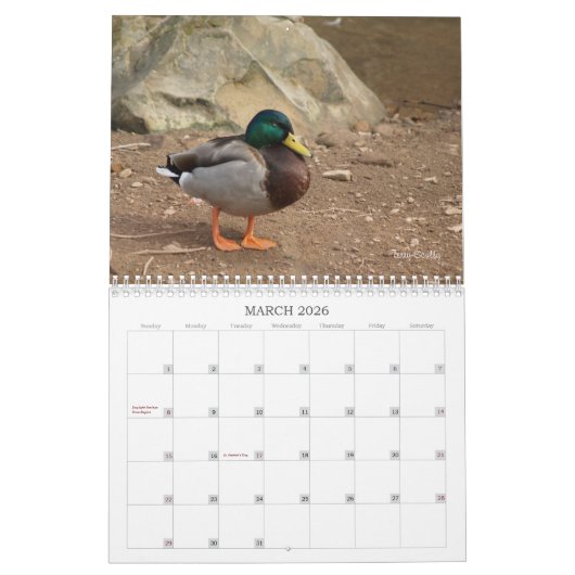 Hunting Mallard Ducks Calendar Kalender (Mar 2026)