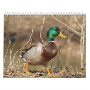 Hunting Mallard Ducks Calendar Kalender