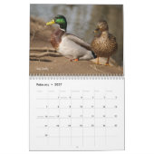 Hunting Mallard Ducks Calendar Kalender (Feb 2027)