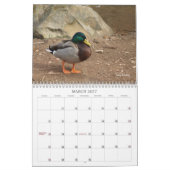 Hunting Mallard Ducks Calendar Kalender (Mar 2027)