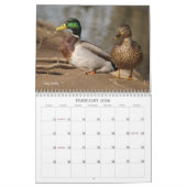 Hunting Mallard Ducks Calendar Kalender (Feb 2026)