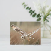 Hunting Owl Briefkaart (Staand voorkant)
