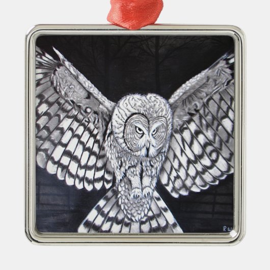 Hunting Owl Metalen Ornament (Voorkant)
