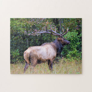 Hunting Season - Bull Elk - 11x14 inch Legpuzzel