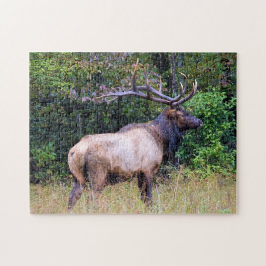 Hunting Season - Bull Elk - 11x14 inch Legpuzzel (Horizontaal)