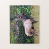 Hunting Season - Bull Elk - 11x14 inch Legpuzzel (Verticaal)