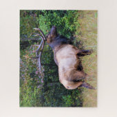 Hunting Season - Bull Elk - 16x20 inch Legpuzzel (Verticaal)