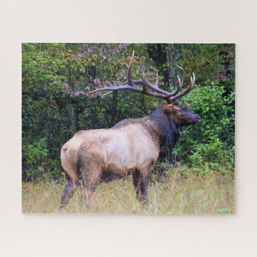 Hunting Season - Bull Elk - 16x20 inch Legpuzzel (Horizontaal)