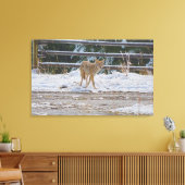 Hunting Vrouw Coyote and Snow Wildlife Foto 5 Canvas Afdruk (Insitu (Woonkamer))