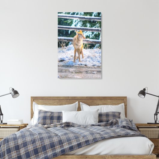 Hunting Vrouw Coyote and Snow Wildlife Photo Art Canvas Afdruk (Insitu (Slaapkamer))