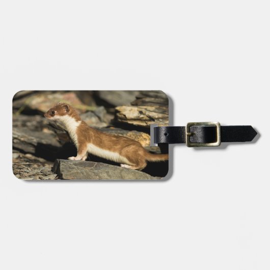 Hunting Weasel Bagagelabel (Voorkant horizontaal)