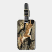 Hunting Weasel Bagagelabel (Voorkant verticaal)