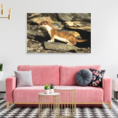 Hunting Weasel Canvas Afdruk (Insitu (Woonkamer))