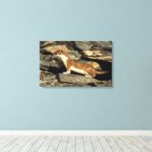 Hunting Weasel Canvas Afdruk (Insitu (Houten vloer))
