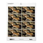 Hunting Weasel Etiket (Full Sheet)