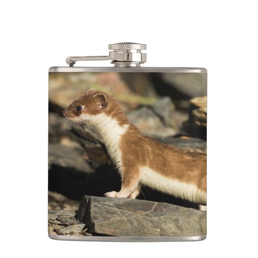 Hunting Weasel Heupfles (Voorkant)