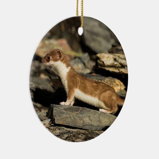 Hunting Weasel Keramisch Ornament (Rechts)