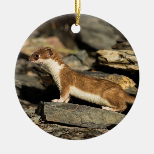 Hunting Weasel Keramisch Ornament (Voorkant)