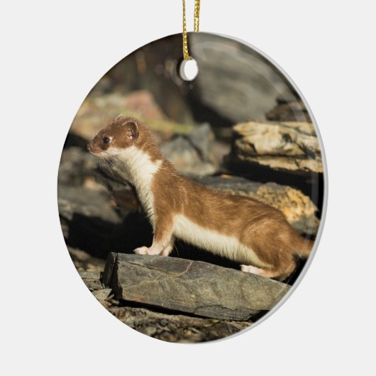 Hunting Weasel Keramisch Ornament (Links)