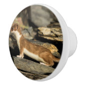 Hunting Weasel Keramische Knop (Rechts)