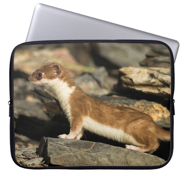 Hunting Weasel Laptop Sleeve (Voorkant)
