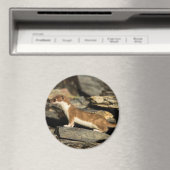 Hunting Weasel Magneet (Insitu (Vaatwasser))