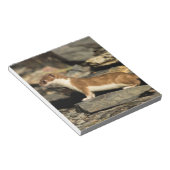 Hunting Weasel Notitieblok (Schuin)