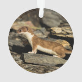 Hunting Weasel Ornament (achterkant)