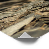 Hunting Weasel Poster (Hoek)