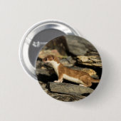 Hunting Weasel Ronde Button 5,7 Cm (Voorkant /achterkant)