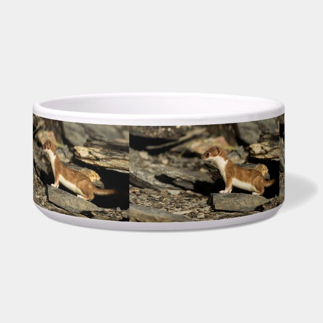 Hunting Weasel Voerbakje (Links)