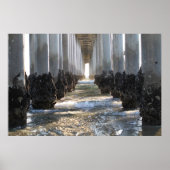 Huntington Beach California Poster (Voorkant)