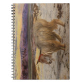 Hunt's Scapegoat notitieboek (Voorkant)