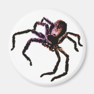 Huntsman Spider Magneet