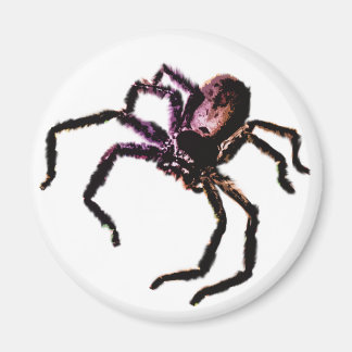 Huntsman Spider Magneet